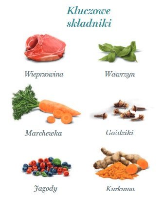 Amanova Dog Adult Iberian Pork - wieprzowina saszetka 300g [P04]