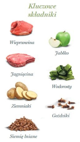 Amanova Dog Adult Luscious Lamb & Pork - jagnięcina i wieprzowina saszetka 100g [P05]