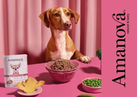 Amanova Dog Adult Tasty Salmon & Turkey - łosoś i indyk saszetka 300g [P06]