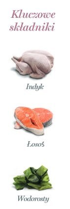 Amanova Cat Tasty Salmon & Turkey - łosoś i indyk saszetka 85g [P11]