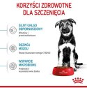 Royal Canin Maxi Puppy karma sucha dla szczeniąt, od 2 do 15 miesiąca życia, ras dużych 3kg