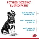 Royal Canin Maxi Puppy karma sucha dla szczeniąt, od 2 do 15 miesiąca życia, ras dużych 3kg