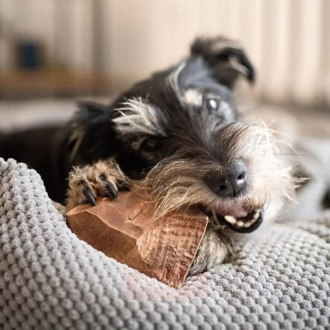 4DOGS Gryzak z korzenia drzewa wrzosowego S 4DOGS Gryzak z korzenia drzewa wrzosowego S