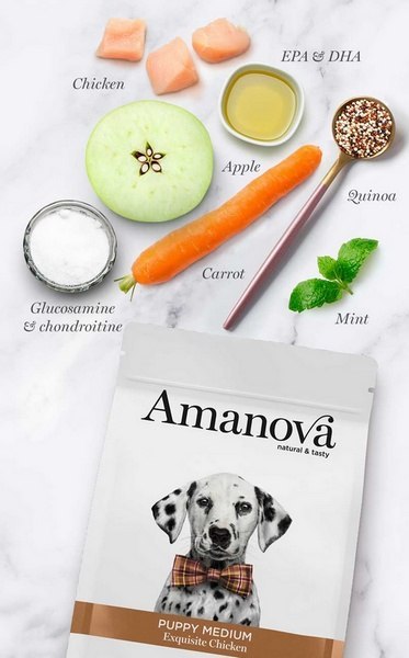 Amanova Dog Puppy Medium Exquisite Chicken - kurczak 12kg Amanova Dog Puppy Medium Exquisite Chicken - kurczak 12kg