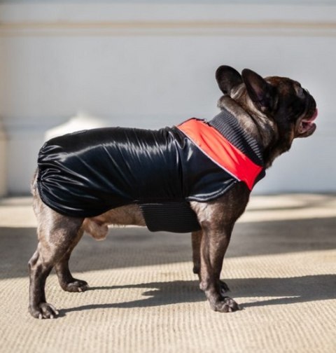 Chaba Ubranko regulowane Wear Magnifique 2XL czerwone