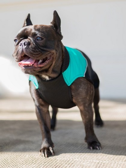 Chaba Ubranko regulowane Wear Magnifique S zielone