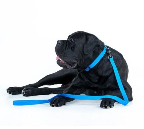 Collar Waterproof Smycz wodoodporna L-XXL 25mm/183cm niebieska Collar Waterproof Smycz wodoodporna L-XXL 25mm/183cm niebieska