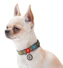Collar WauDog Nylon Obroża nylonowa z QR-paszportem, plastikowy fastex, wzór MILITARY, M 20mm/28-40cm