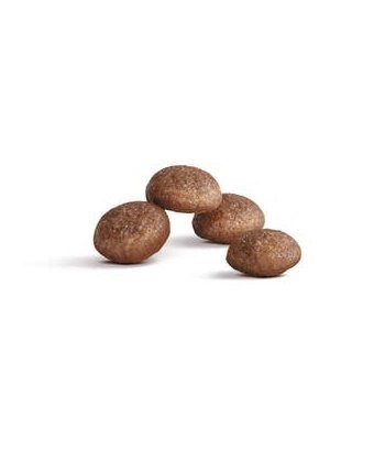 Royal Canin Ageing +11 karma sucha dla kotów dojrzałych 2kg Royal Canin Ageing +11 karma sucha dla kotów dojrzałych 2kg