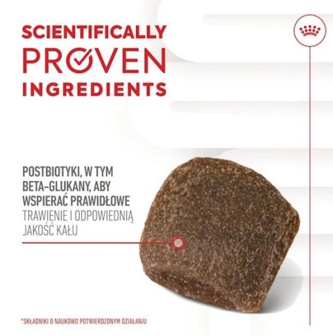Royal Canin Digestion Chews Adult Supplements 160g Royal Canin Digestion Chews Adult Supplements 160g