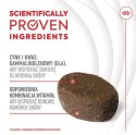 Royal Canin Skin & Coat Chews Adult Supplements 240g