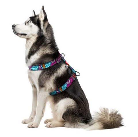 Collar WauDog Nylon Szelki nylonowe anatomiczne w kształcie litery H, z QR-paszportem, plastikowy fastex, wzór LATO, rozmiar XL 