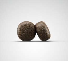 Josera Exclusive SensiJunior 900g