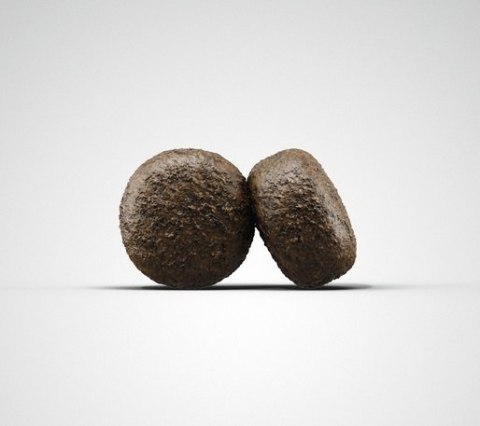 Josera Exclusive SensiJunior 900g Josera Exclusive SensiJunior 900g