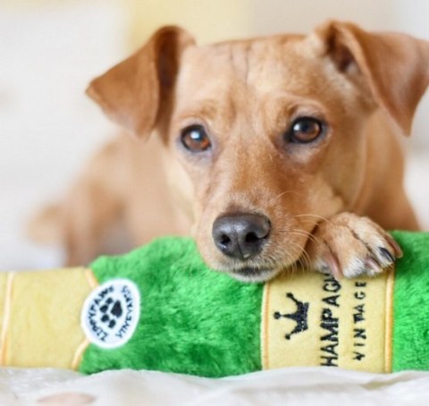 ZippyPaws Pluszowa trzaskająca butelka Champagne [ZP924]