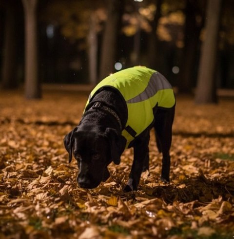 Zolux Kamizelka odblaskowa R.60 żółta