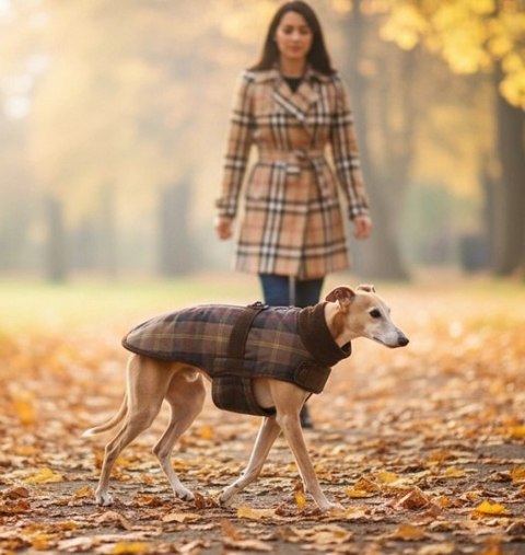 Zolux Kurtka w kratę dla psa Cheverny R.55 brązowa