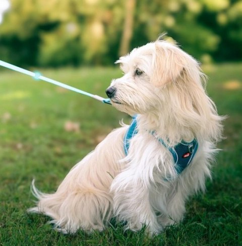 Zolux Szelki oddychające z siatki XS granatowe