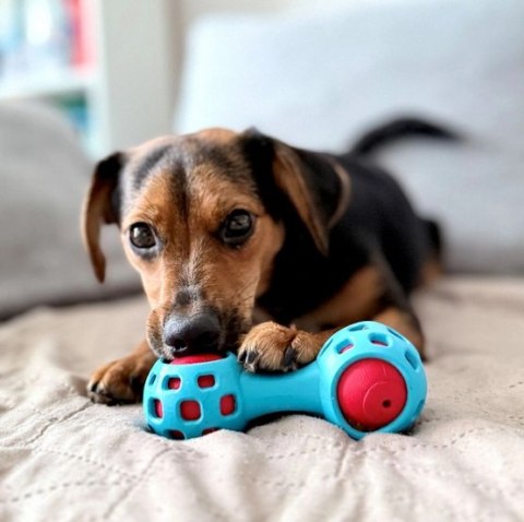 Zolux Zabawka na przysmaki gryzak hantel 13cm