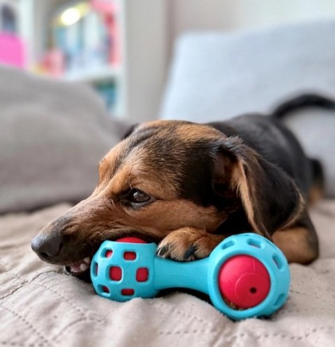 Zolux Zabawka na przysmaki gryzak hantel 13cm