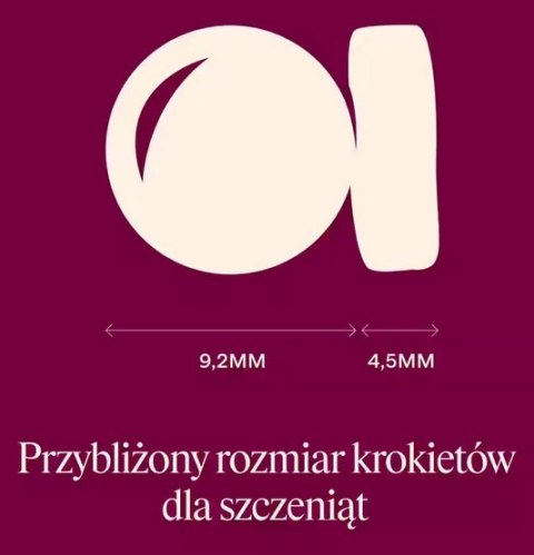 Carnilove Dog Active Salmon & Turkey Puppy - łosoś i indyk 1,5kg