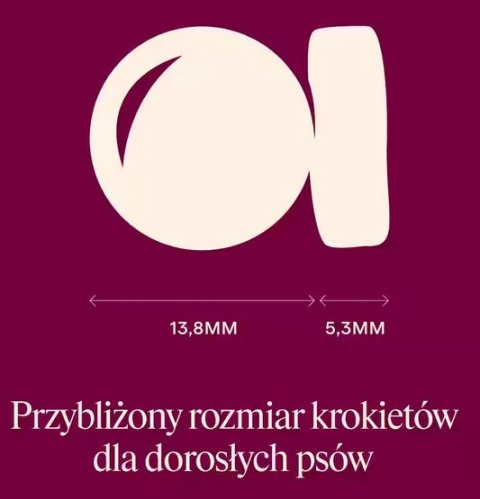 Carnilove Dog Active Venison & Reindeer Adult - dziczyzna i renifer 1,5kg