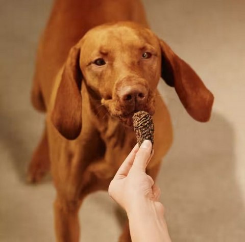 Carnilove Dog Jerky Turkey & Rabbit - indyk i królik 100g