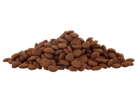 Lucky Lou Food Code Lifestage Adult Drób & Owady 750g