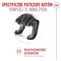 Royal Canin Ageing +11 karma mokra dla kotów dojrzałych w sosie saszetka 85g