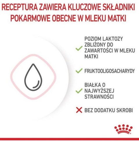 Royal Canin Babycat Milk pełnoporcjowy preparat mlekozastępczy dla kociąt do 2 miesiąca życia 300g