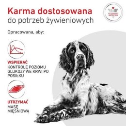 Royal Canin Veterinary Diet Canine Glycobalance Low Carbohydrate Loaf puszka 410g