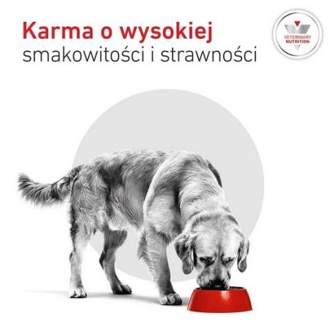 Royal Canin Veterinary Diet Canine Glycobalance Low Carbohydrate Loaf puszka 410g