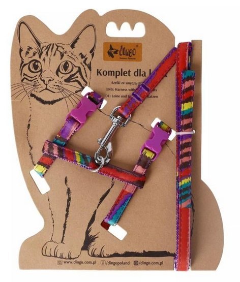Dingo Komplet dla kota - Smycz i szelki Funky Cat
