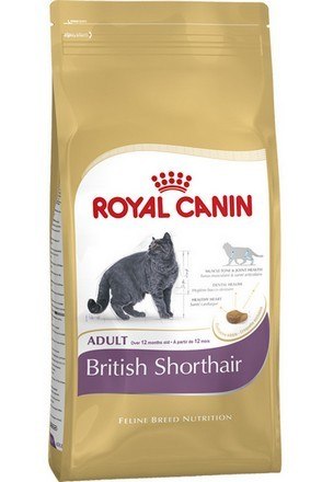 Royal Canin British Shorthair Adult karma sucha dla kotów dorosłych rasy brytyjski krótkowłosy 10kg